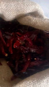 Cabe merah kering besar Super (tidak pedas) istimewa 1kg