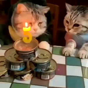 Lilin Angka Gold untuk Pesta Birthday & Dekorasi