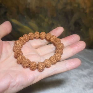 12mm+ premium natural "Panlong" (Coiling Dragon) high density red skin 7 Mukhi (faces) small species Rudraksha bracelet 优质七瓣盘龙红皮铁籽小金刚菩提子手链