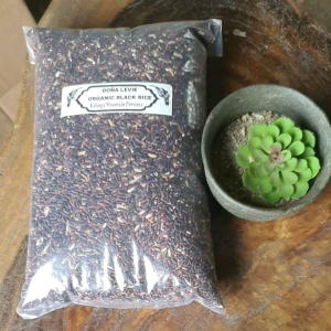 Healthy Rice Choice: Organic Black Rice from Kalinga Mountain Province