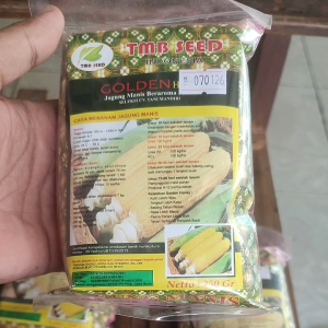 benih bibit Jagung manis GOLDEN TMB seed
