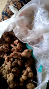 kencur baduysngt cocok untuk seblak kemasan 1 kg