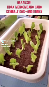 media semai coco peat prima no 1.untuk semai dan cangkok berat 1 kg