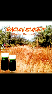Racun Rumput Rumput Mati dalam semalam