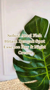 SPOT ESSENCE DAY & NIGHT CREAM SR12 / MENCERAHKAN BEBAS FLEK HITAM BEKAS JERAWAT / CREAM WAJAH