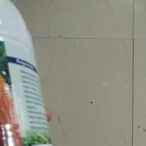 NPK Cair JAGUNG Pupuk Daun Tanaman Jagung