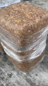 กะปิเกรดเอ1ก้อน1กิโลกรัมกะปิตำน้ำพริกกะปิใส่แกงกะปิใต้แท้จากนครศรีธรรมราช