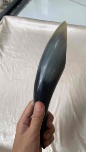 Sừng trâu cạo gió - LAVIBAN