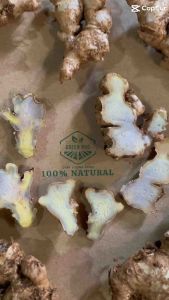 GỪNG GIÓ ( hàng chuẩn )