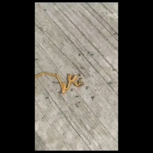 YUKANG 10g Multi-Pack Anti-Ant Gel Bait - Effective Pest Control Solution