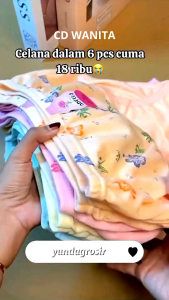 Celana Dalam Wanita CD wanita 12 pcc