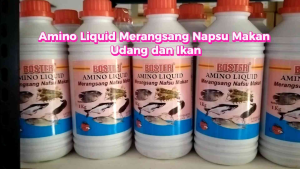 AMINO LIQUID BOSTER IKAN 1 LITER Probiotik Ikan Vitamin Ikan