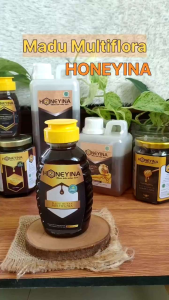 Madu Multiflora Murni Honeyina 320 gram