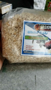 Grandlam White Oats Economical - No Sugar No Salt No Preservatives - For Birds