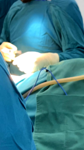 Regnazel Nakara Obat Tumor Payudara & Obat Kanker Serviks Herbal Untuk Stadium 2-4 isi 50 Kapsul Original BPOM