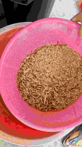 Baja / fertilizer / baja super subur / organic fertilizer 1kg