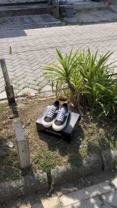 Sepatu pria wanita sneakers Quiferstep orgenzi brown remaja cewek cowok spatu coklat kekinian terbaru seoatu coklat kanvas