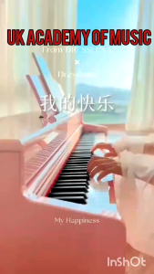 UK Professional Exam Master Grade Hammer Action Fully Weighted 88 Keys Digital Piano with Bluetooth