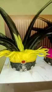 mahkota bulu/mahkota dayak/topi papua