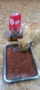 เซต 4 ถุง อาหารแมวซอยแคท สำหรับแมวอายุ 1 ปีขึนไป