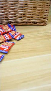 藤野一村 海盐日式小圆饼 248g Japan Biscuit Fujino Ichimura 巧克力卷 手指饼干 椰奶卷酥脆 单独包装饼干 咸味小吃 办公休闲食品 biscuit snack delicious 新年饼干