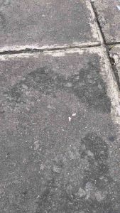 Shok Shockbreaker Tabung RDC GP Series Click: Fungsi & Ukuran