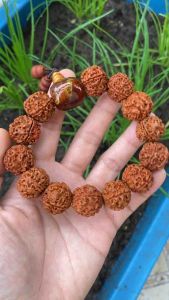 Vòng tay hạt bồ đề kim cang 20ly