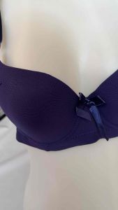 bra wanita dewasa POLINI G630 / Bra kawat busa tebal / bh cewek kait 3 / bra wanita bahan premiun