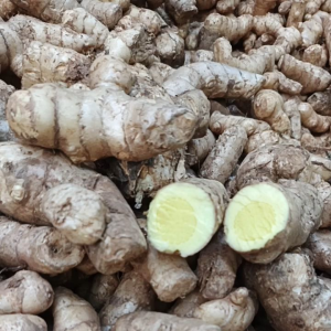 TEMU MANGGA ISI 1 KG (BERSIH)