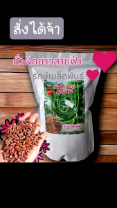 1 ถั่วฝักยาวสายฟ้า รุ่นใหม่ล่าสุด 1กก.ดก ทนไวรัส ใบไม่เหลือง