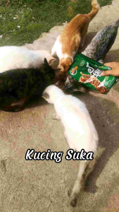 [400g] KHAF Premium Cat Food | Makanan Kucing KHAF Premium | Perisa Salmon & Tuna by Eco Vet