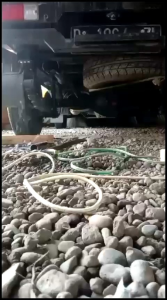 Knalpot Sous Suos Grandmax Luxio Apv Mega carry pick up Futura Avanza Xenia Sigara