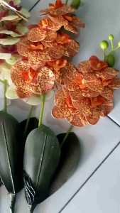 Anggrek latex artifisial tinggi 60cm