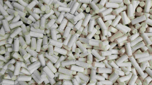 GABUS BUSA FILTER REX OCE PUTIH