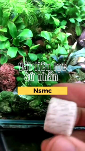 Vật Liệu Lọc Xử Lý Nước Sứ Lỗ (100gr)