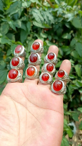 NATURAL CINCIN RAFLESIA BENGKULU