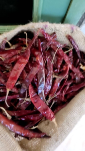 [1KG] cabai cabe besar kering lombok india wonder hot tidak pedas.