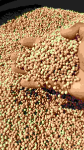 [1KG] Merica sahang lada putih super