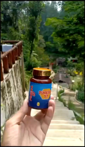 Pinera57  Promo Spesial 10 Botol 100 % Original Pinus Merah Korea Red Pine Obat Diabetes Obat Diabet Kolesterol Obat Asam Urat Herbal Obat Herbal Obat