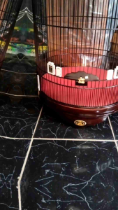 sangkar murai.no. 2 soloan merk D&R coklat salak tebok ceper bambu