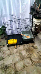 kandang kucing paketan size large 75 x 45 x 55 cm