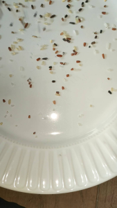 จมูกข้าวสี่สีจุ้กส์ดีไรซ์ 1 กิโลกรัม (Organic Rice)