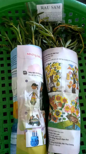 🌿 Rau Sam Biển Tươi Khô (0971183688) – Đặc Biệt Dành Cho Người Nuôi Chó MèoDễ Nhiễm Kí Sinh Trùng Sán Chó Sán Mèo