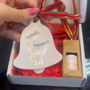 Christmas Spirit Hanging Diffuser Gift Set Box 100% Pure Organic Therapeutic Grade Essential Oil Car