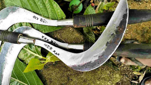 arit rumput Madura MDR