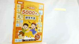 5000 / 2000  Word Perkataan Audio Buku Kanak-kanak Audio Book Children Literacy Point to Read Education Early Learning Chinese Mandarin Sound Basic Character