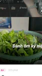 Micro dbacoustic 650 pro hát karaoke dây chống hú nhiễu 5m