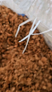 ขุยมะพร้าวกาบมะพร้าวสับ เล็ก กลาง ใหญ่ 4กิโลกรัม