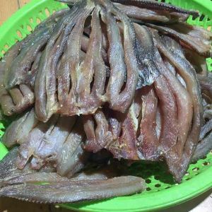 Khô Cá Lóc 2 Nắng Chuẩn Vị Nhà Làm Túi 500gr_1ký GIÁ TẬN XƯỞNG