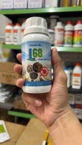 L68 - Xử lý lươn chạch lỡ loét xuất huyết nóng sốt dạng dung dịch 250ml hiệu quả nhanh an toàn cho bệnh thường gặp